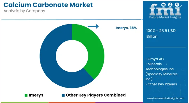 Calcium Carbonate Market   Analysis By Company